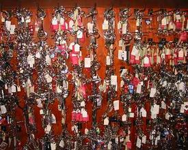 Horse Bits from Beavers, the Harrogate Horse Shop by Harlow Carr Gardens