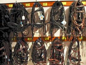 Bridles from Beavers, the Harrogate Horse Shop by Harlow Carr Gardens