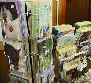 Greeting Cards from Beavers, the Harrogate Horse Shop by Harlow Carr Gardens