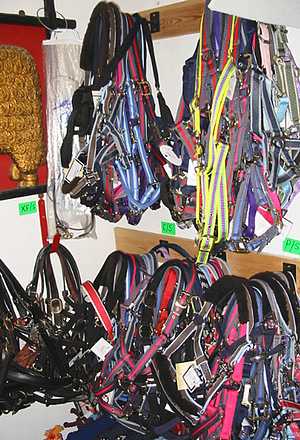Training Aids + Headcollars from Beavers, the Harrogate Horse Shop by Harlow Carr Gardens